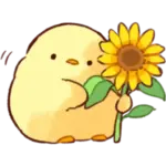 Sticker chicks-summer