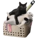 Sticker black-cat