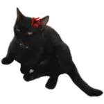 Sticker black-cat