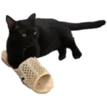 Sticker black-cat