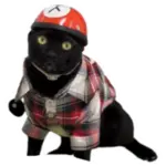 Sticker black-cat