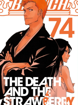 Bleach için kapak görseli