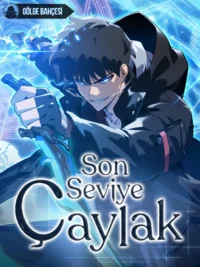 Son Seviye Çaylak için kapak görseli