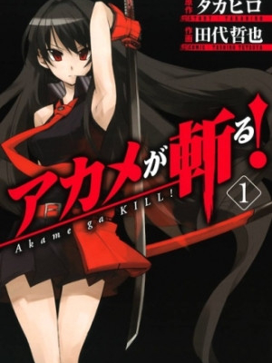 Akame ga KILL! için kapak görseli