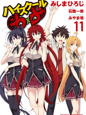 High School DxD için kapak görseli