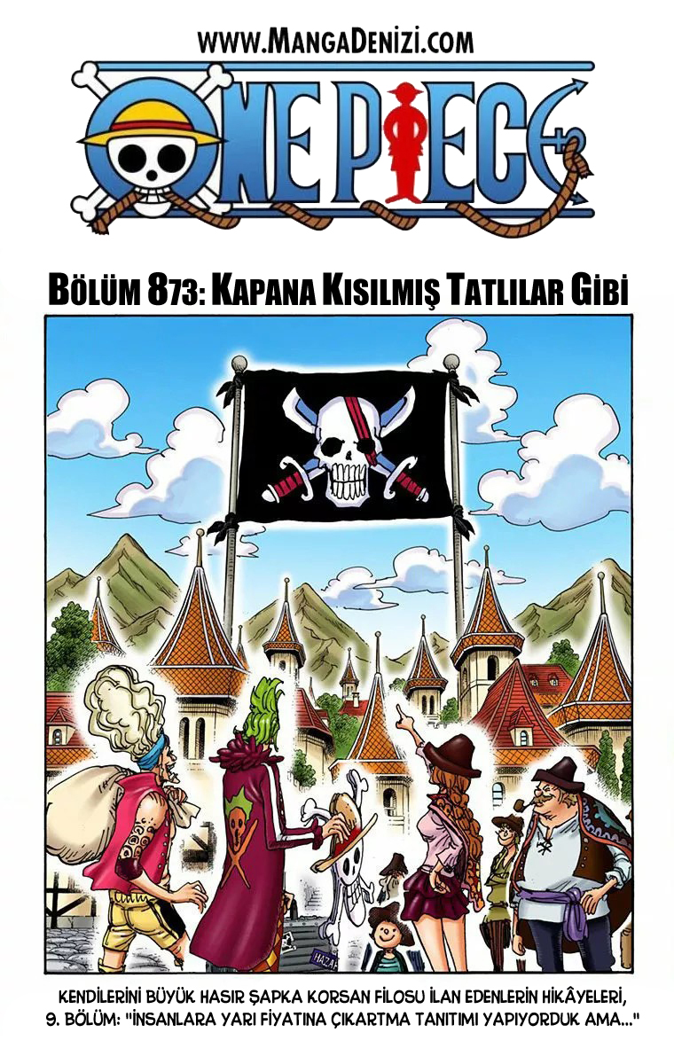 Bölüm 873