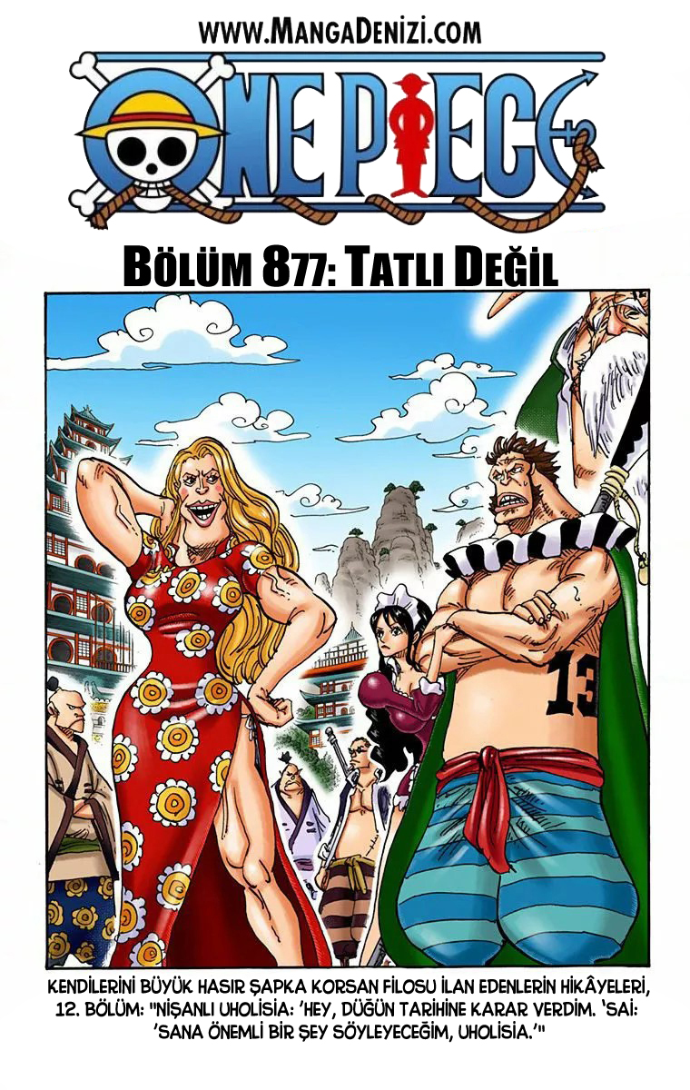 Bölüm 877
