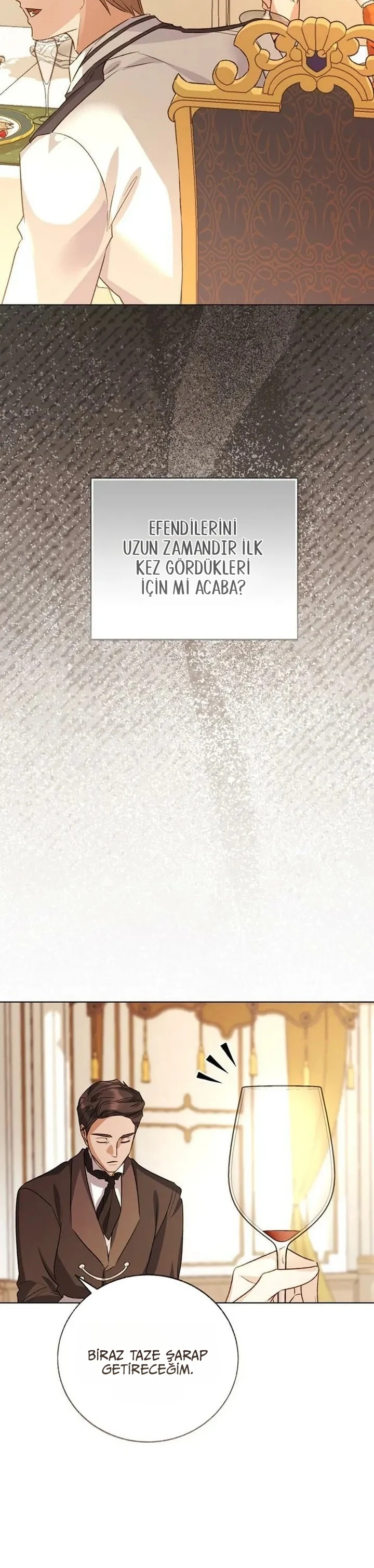 Bölüm 20