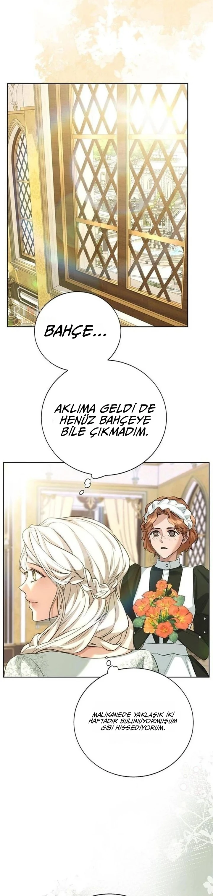 Bölüm 22
