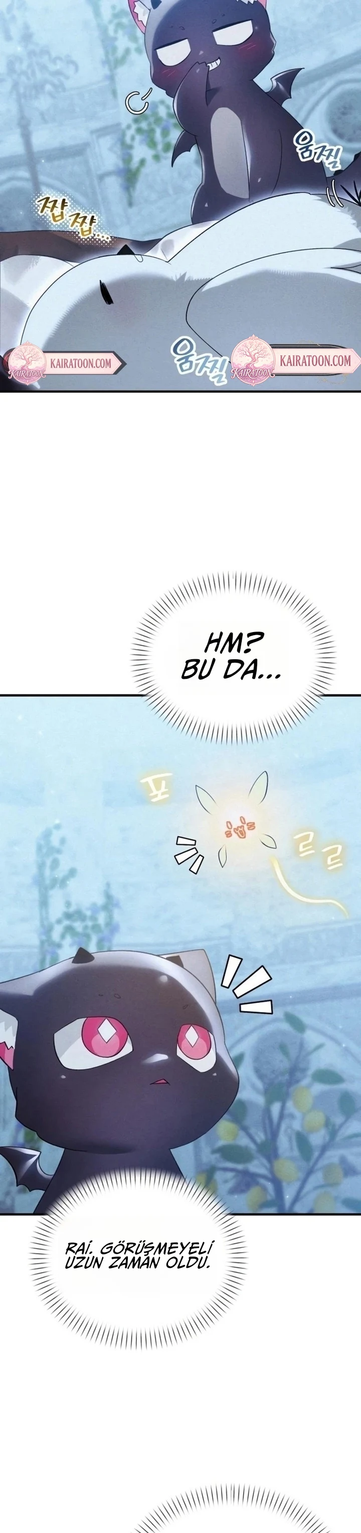 Bölüm 17