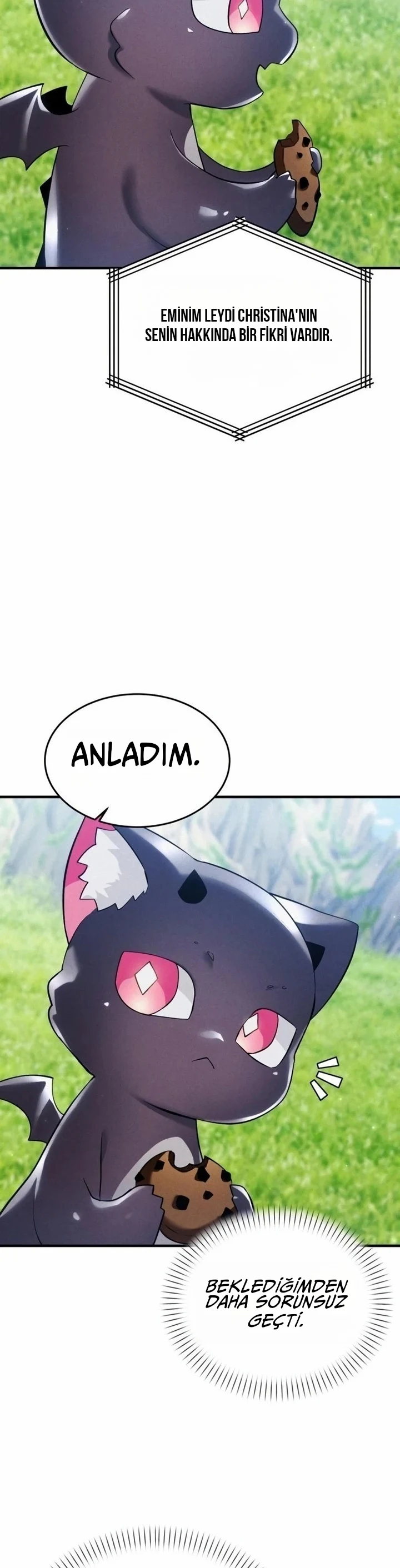 Bölüm 19