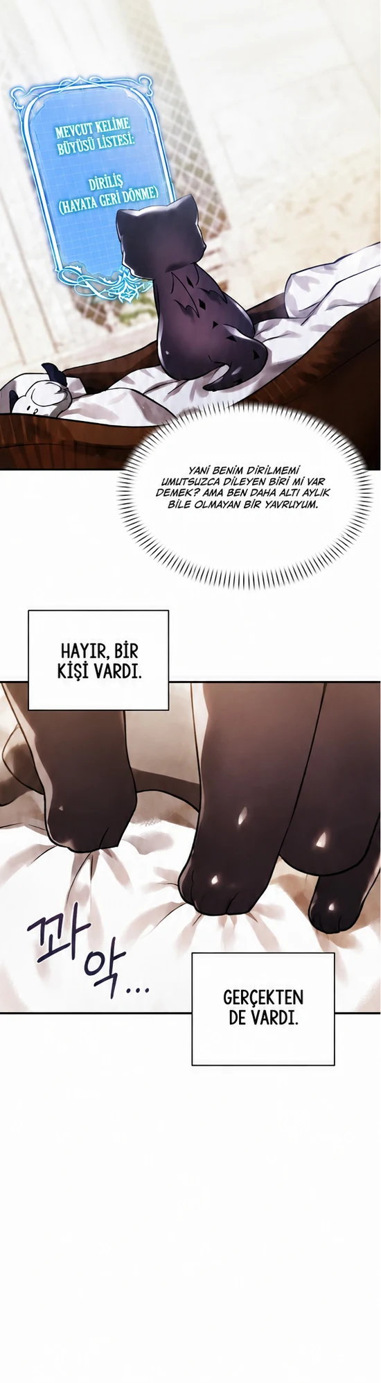 Bölüm 19