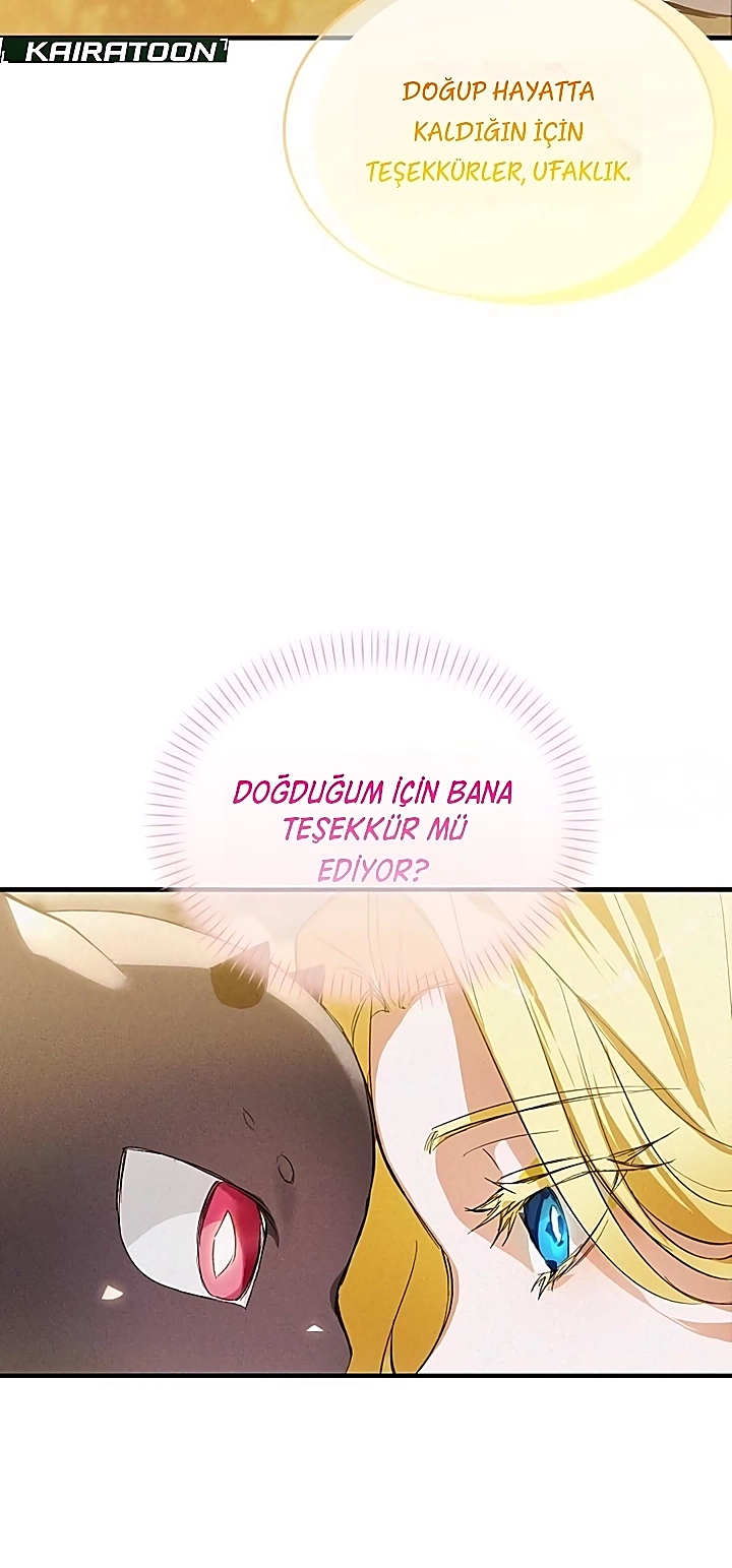 Bölüm 2