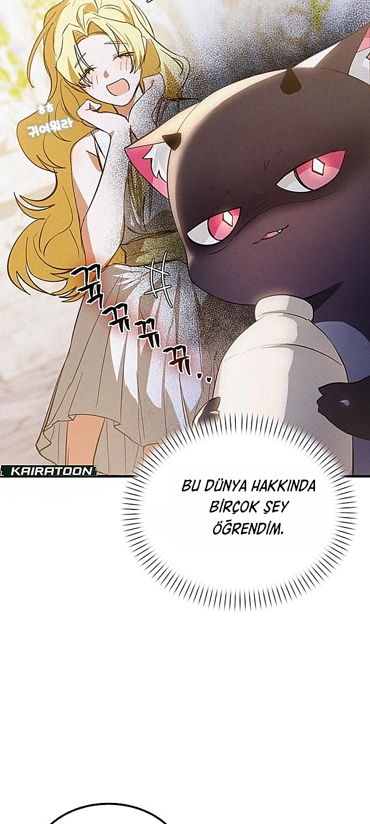 Bölüm 3