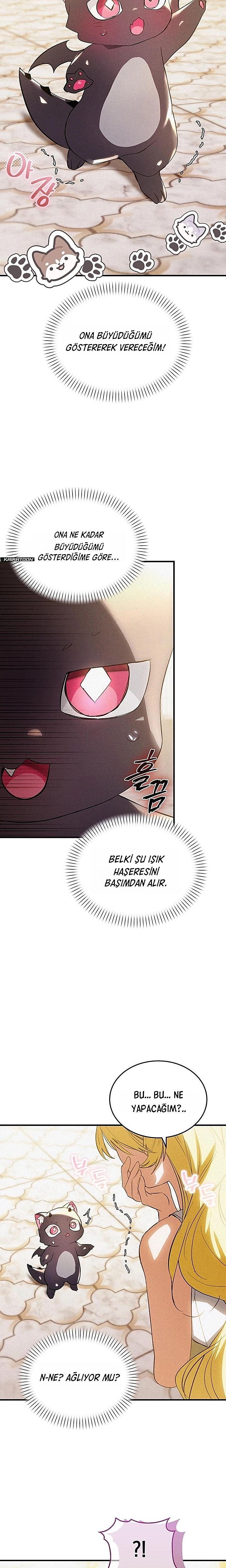 Bölüm 3