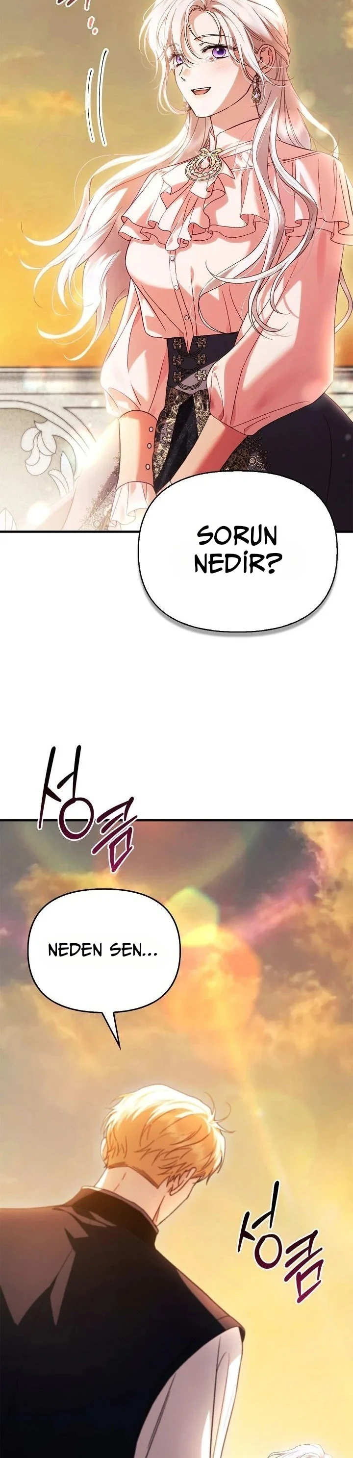 Bölüm 17