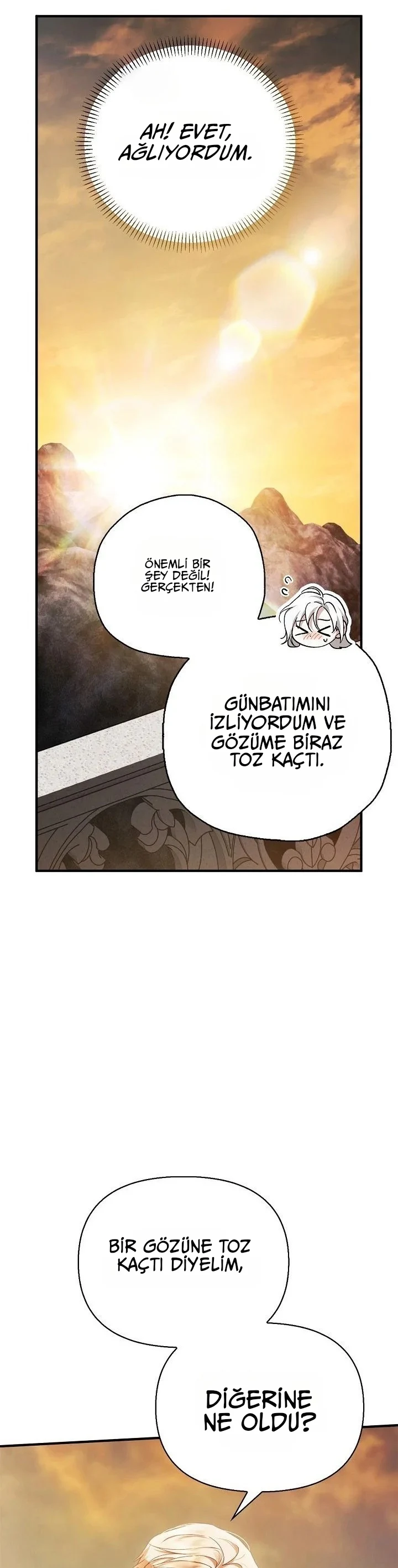 Bölüm 17