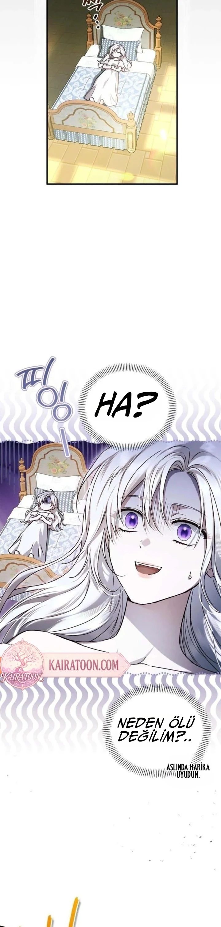 Bölüm 4