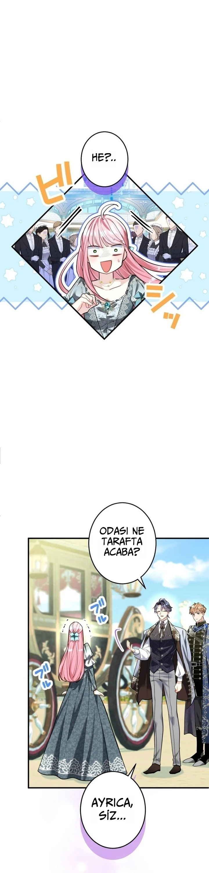 Bölüm 15