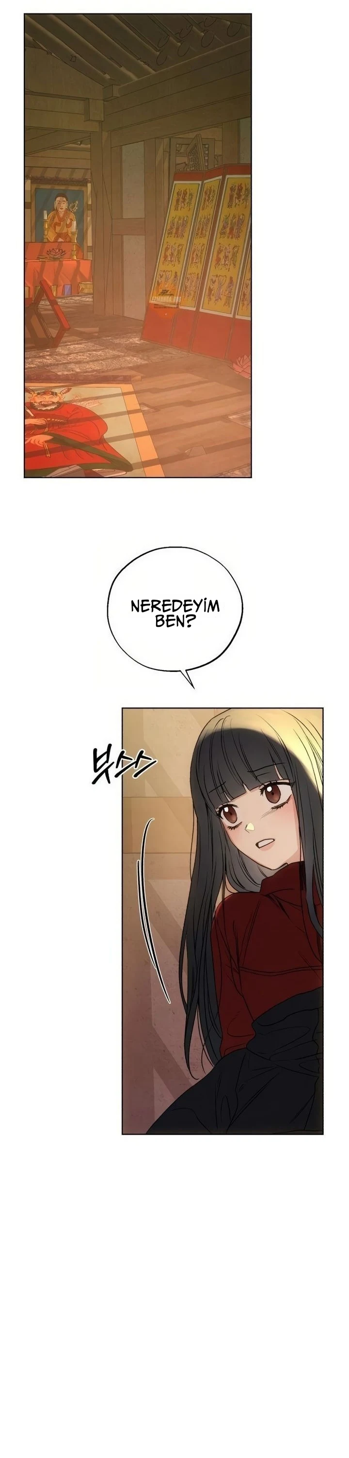 Bölüm 11
