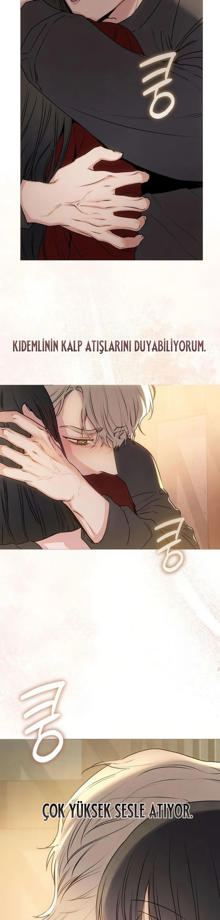Bölüm 11