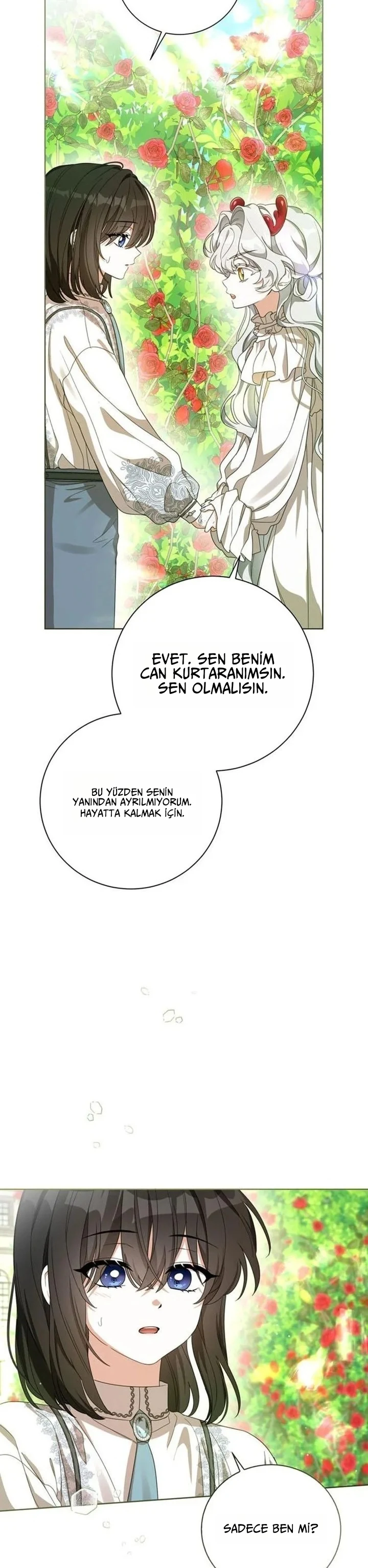 Bölüm 7