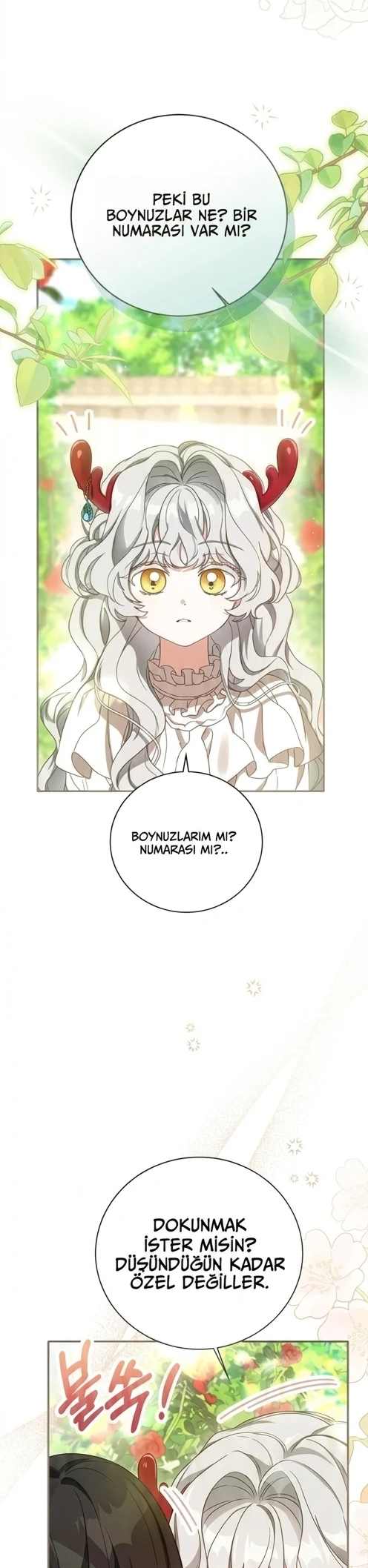 Bölüm 7