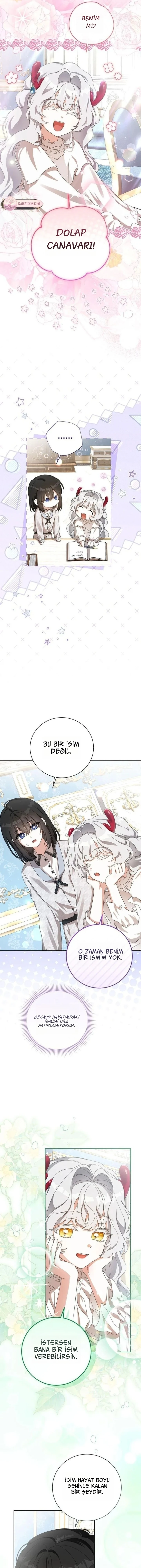Bölüm 8