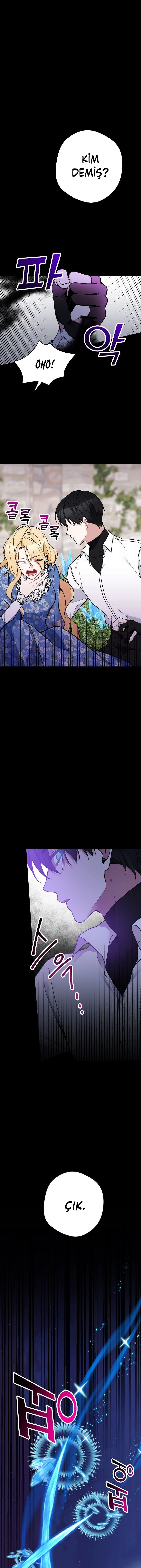Bölüm 10