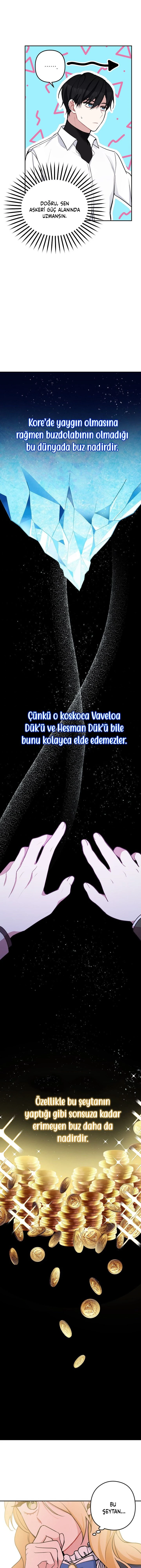 Bölüm 10