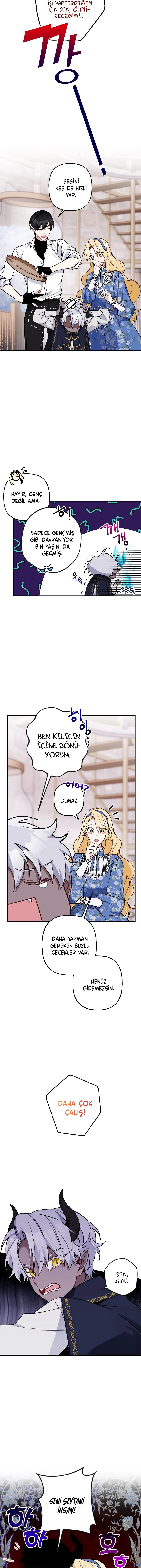 Bölüm 11