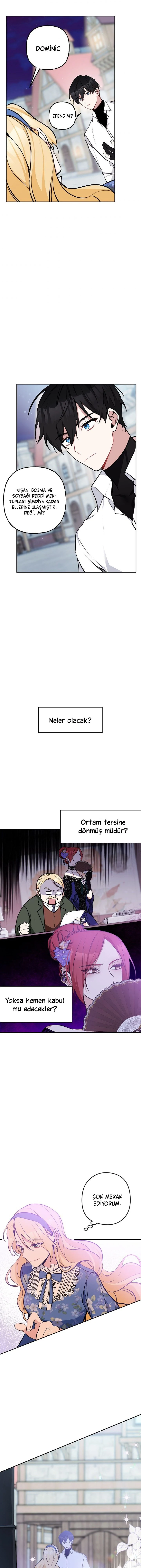 Bölüm 11
