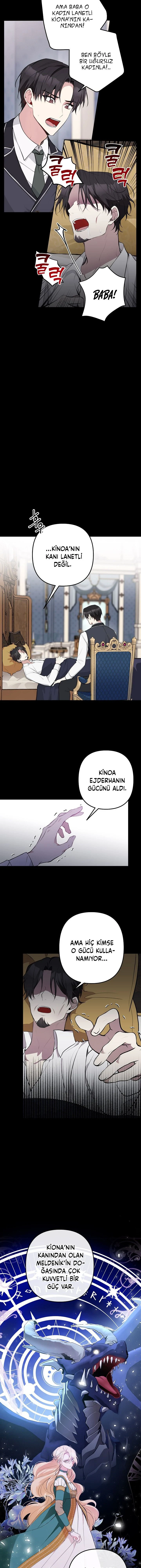 Bölüm 12