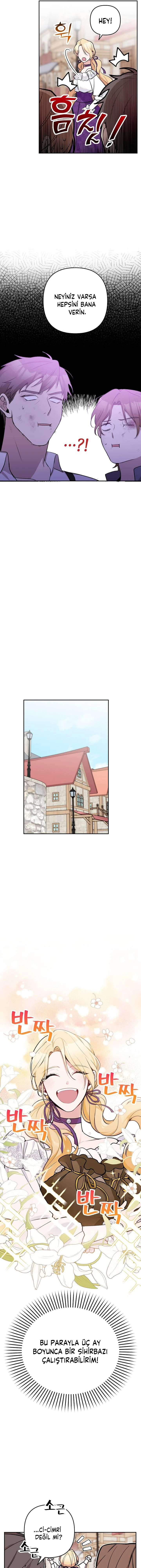 Bölüm 17