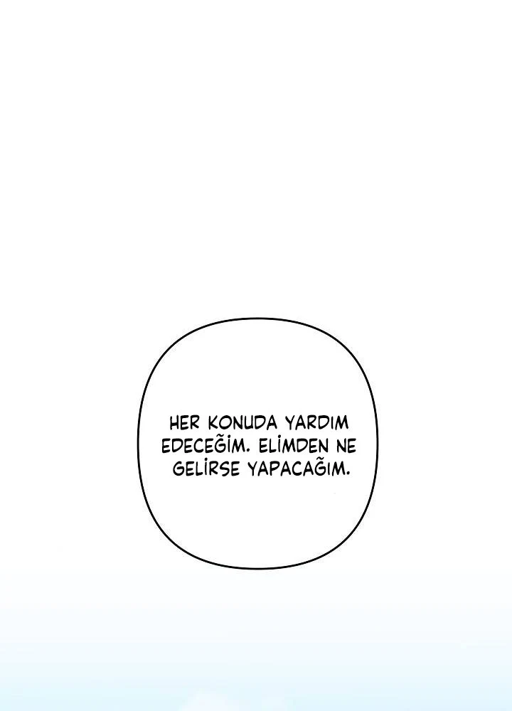 Bölüm 17
