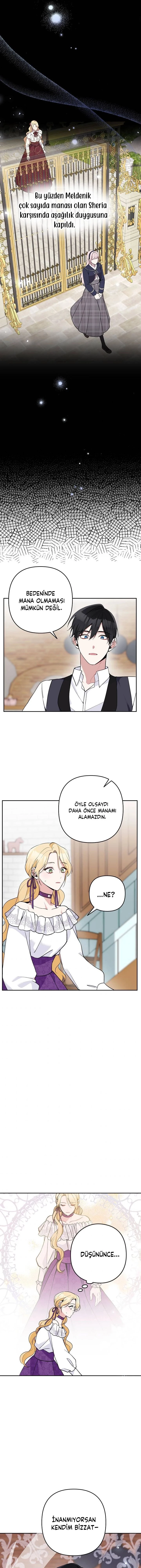 Bölüm 17