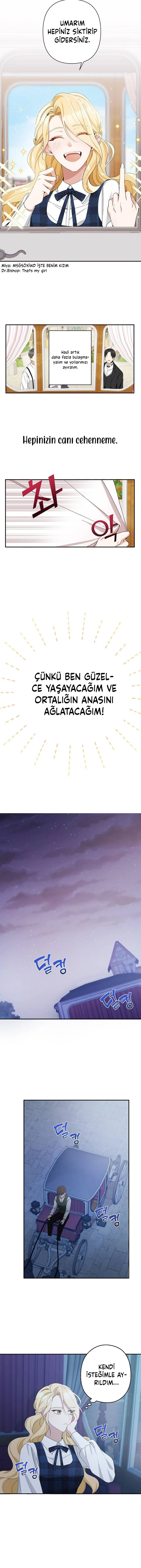 Bölüm 2