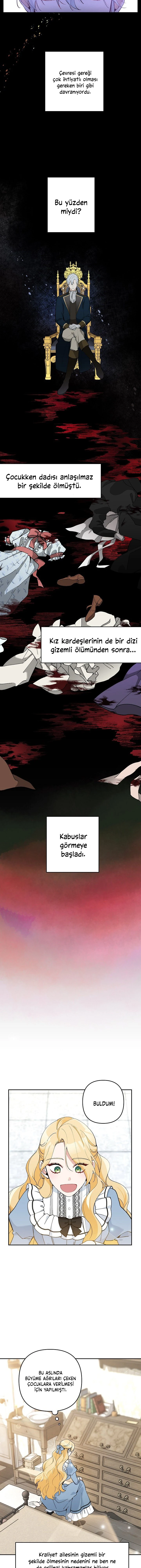 Bölüm 23