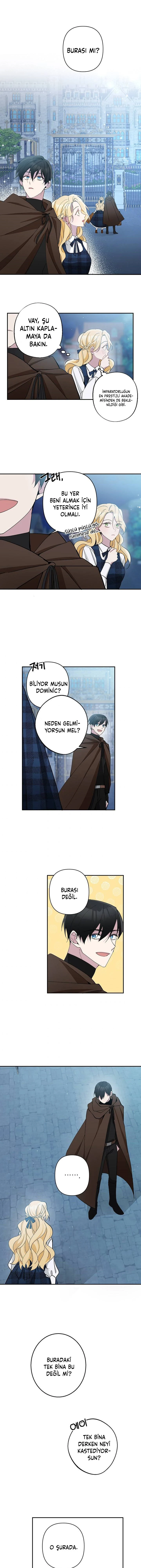 Bölüm 3
