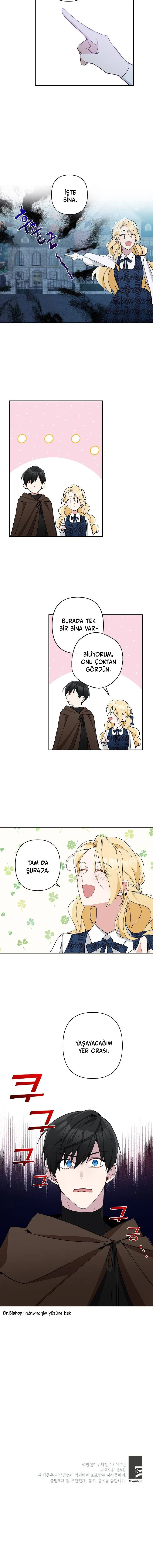 Bölüm 3