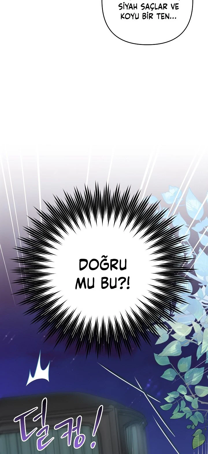 Bölüm 36