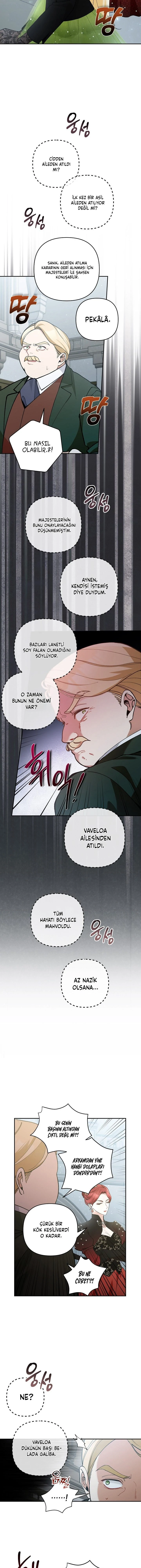 Bölüm 41