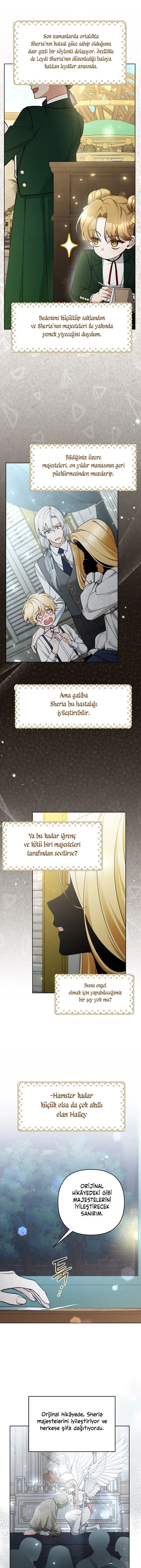 Bölüm 49