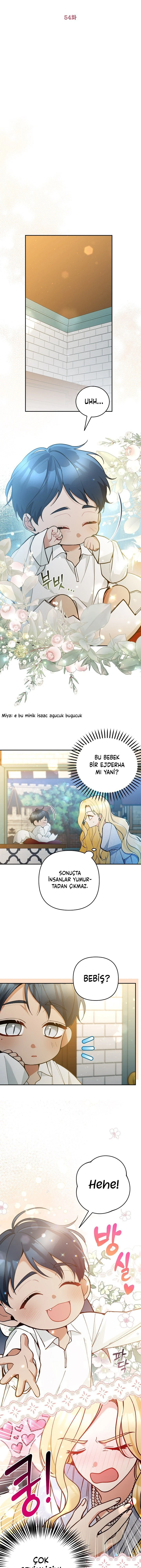 Bölüm 54