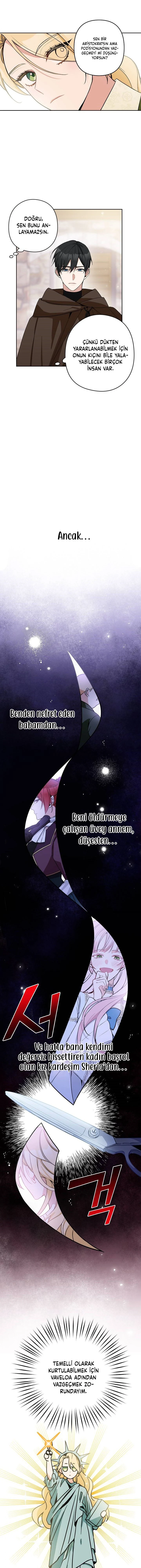 Bölüm 7