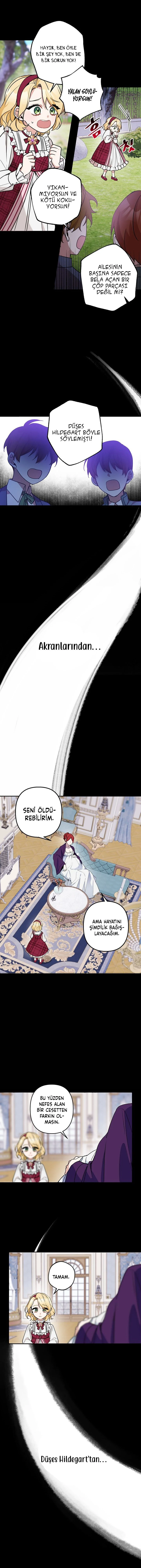 Bölüm 8