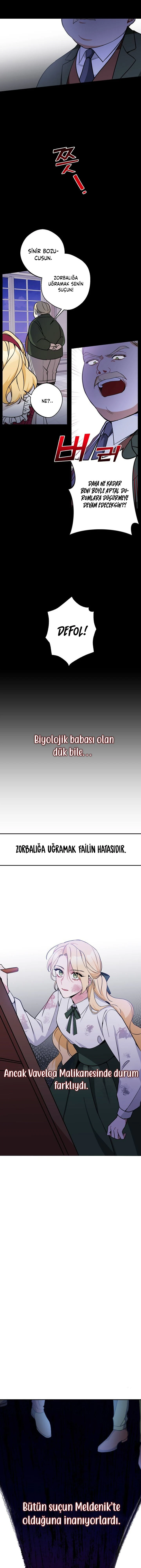 Bölüm 8