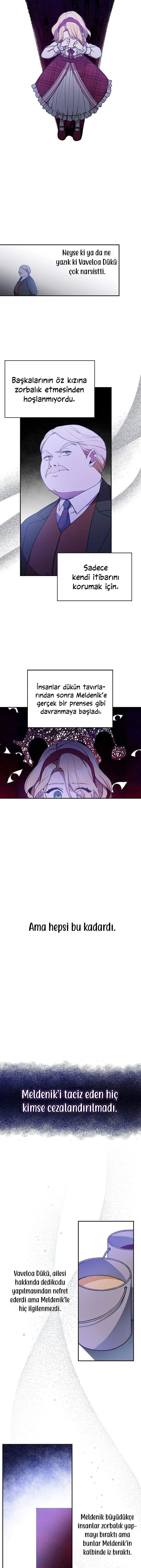 Bölüm 8