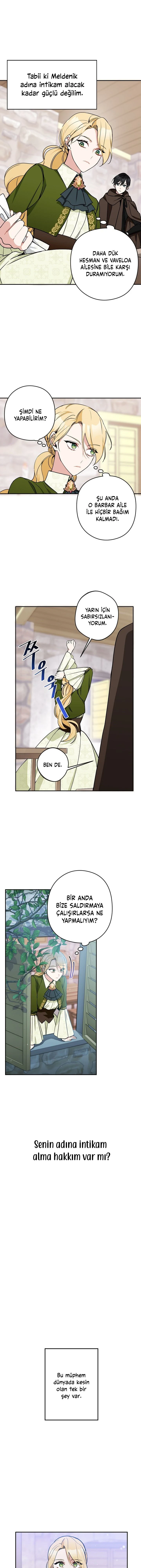 Bölüm 8