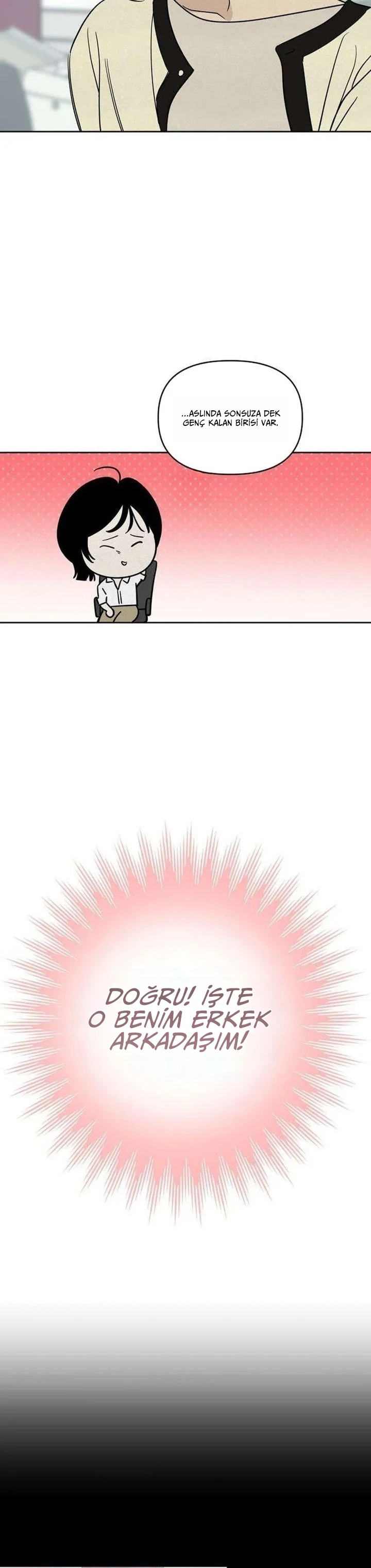 Bölüm 4